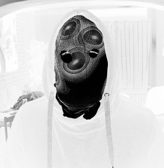 dendritic-arbor-photo