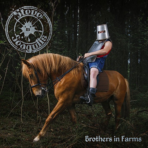 steve_n_seagulls-brothers_in_farms_500px_copy1